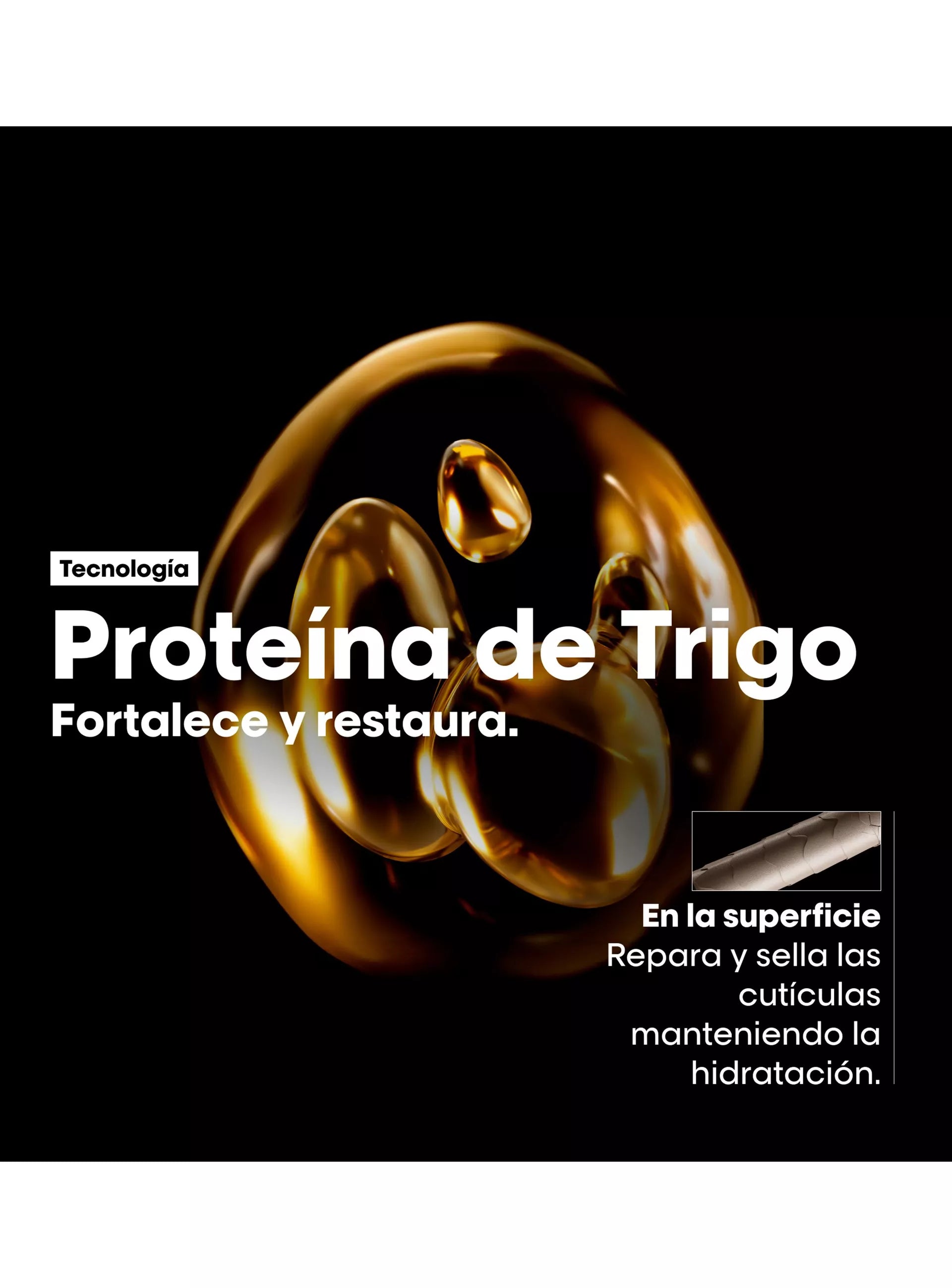 Máscara Absolut Repair